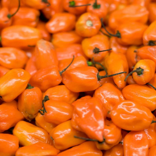 Image of Peppers for Pineapple Habanero Hot Sauce a Lo & Slo Recipe